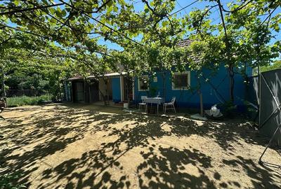 Casă individuală cu 2 camere cu Teren 1501 Mp în Birda - 25