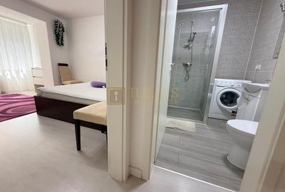 Apartament cu 2 camere decomandat, mobilat în Central - 12