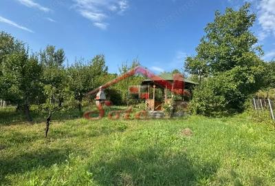 Casă cu Teren 2404 Mp în Cornu - 14