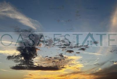 Inchiriere apartament 2 camere Hils Brauner- liber 1 decembrie - 24