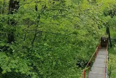 Vand casa de vacanta Prahova Vand casa de vacanta Prahova - 10