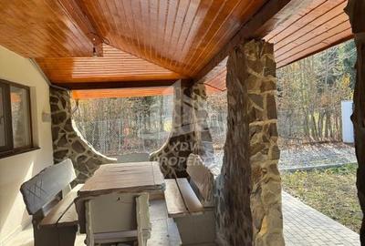 Pensiune/ Vila Valea Avrigului - 7