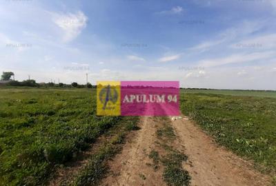Teren de 524 mp, în 1 Decembrie - 28