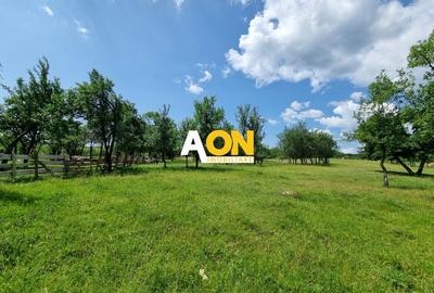De vanzare 5898mp teren intravilan, zona Paclisa - 2