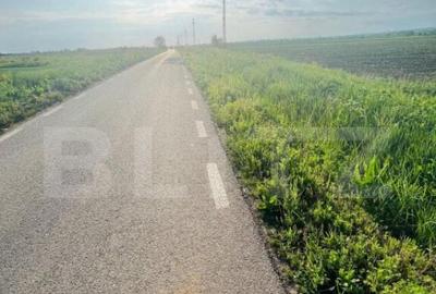 Teren 5500mp extravilan,Sat Dimoiu - 5