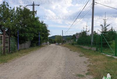 Teren intravilan de / Maneciu Pamanteni - 8