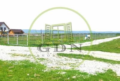 Terenuri extravilan  | 1000 mp, 2000 mp  | Valea Avrigului - 4