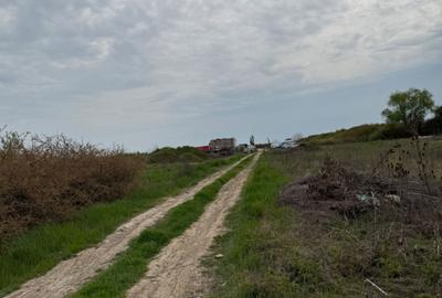 Teren de 600 mp, în Sânmihaiu Român - 3