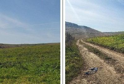 Teren de 10000 mp, în Mineri - 5