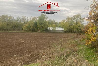 Casă cu 3 camere cu Teren 3895 Mp în Rândunica - 6