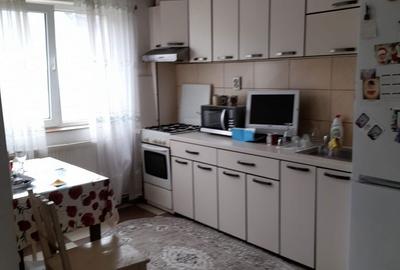 Apartament cu 2 camere semidecomandat în Paltin - 10