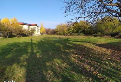 Spațiu comercial, în Bobolia - 7