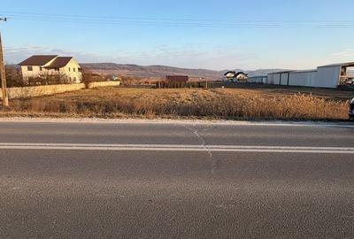 Teren de 1000 mp, în Buhoci - 9