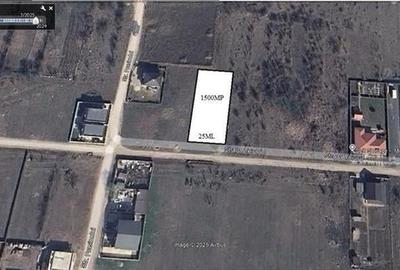 TUNARI / TEIULUI / 1500MP / FS 25ML - 1