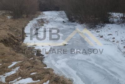 Teren Pretabil Investitie | Parau Rece Rasnov | 10.035mp | Extravilan - 4