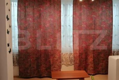 Apartament cu 2 camere în Roșia - 7