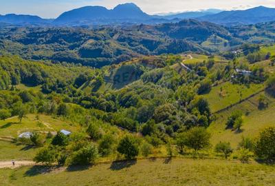 Teren extravilan 6,014mp | Holbav | BRASOV | COMISION 0| - 11