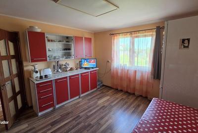 Casă cu 3 camere în Rociu - 5