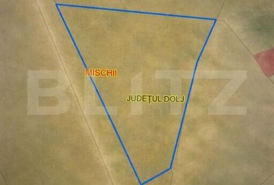Spațiu comercial, în Mischii - 3