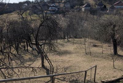 Spațiu comercial, în Păniceni - 5