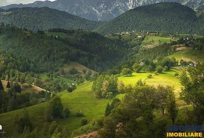 Spațiu comercial, de 381 mp, în Moieciu - 13