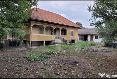 Casă cu 3 camere cu Teren 6869 Mp în Central - 3