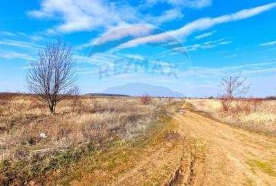 Teren agricol extravilan de 7742 mp, în Corbeanca - 4