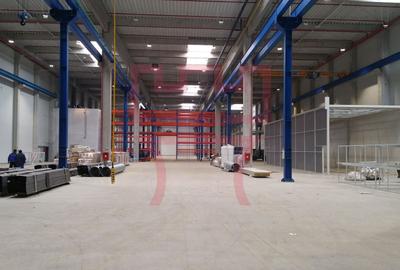 Module  de hala noi cu rampa, platforma betonata,  spatii birouri - 3