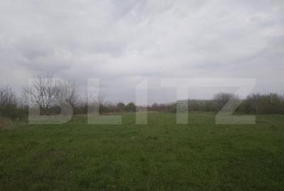 Teren intravilan, 3515 mp, zona Crevedia - 26