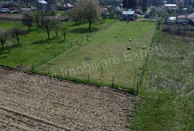 Teren de 2508 mp, în Argeșani
