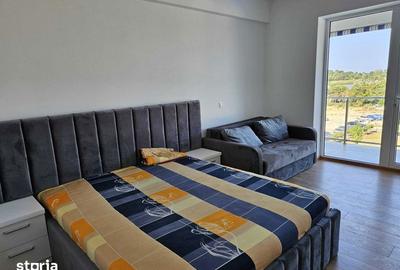Apartament cu 4 camere în 23 August - 1
