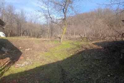 Casă cu Teren 1080 Mp în Blăjani - 9