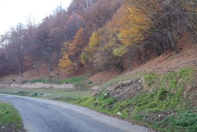 Teren de 9310 mp, în Poiana Mărului - 8
