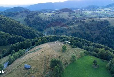 Teren de 2000 mp, în Fundata - 1