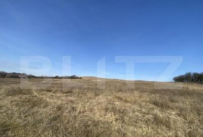 Teren extravilan in suprafata de 140551 mp in loc. Recea - 18