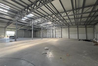 Inchiriere depozit/hala/spatiu industrial Mogosoaia - Buftea - 10