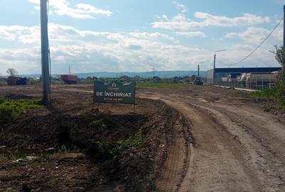 Teren agricol, în Nord - 1