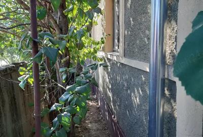 Vand proprietate in Miersig, jud.Bihor, la aproximativ 20 km de Oradea. - 7