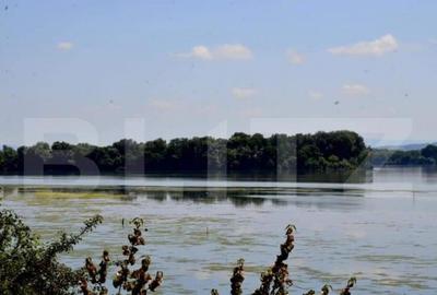 Teren, 120000mp, Insula Calinovat, Moldova Noua - 17