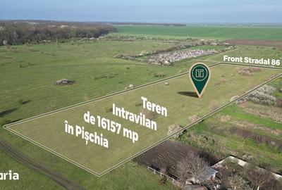 Teren de 16157 mp, în Pișchia - 4