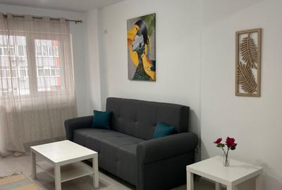 Garsoniera prima Inchiriere Str. Biruintei - 9