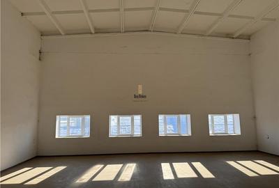 Spatiu Industrial - 600 mp - Productie - Depozitare - Distributie - Sibiu - 3