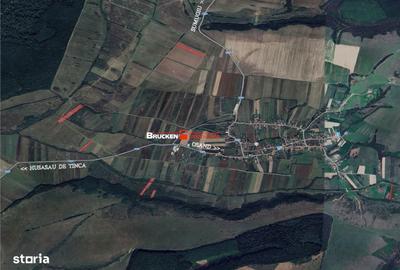 Teren de 23400 mp, în Husasău de Tinca - 1