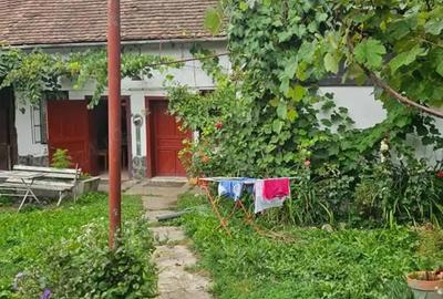 Casă cu 2 camere în Bunești - 1