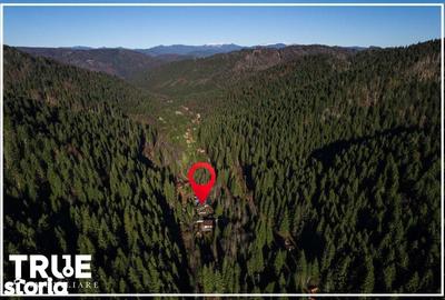 Casă cu 6 camere cu Teren 1400 Mp în Lunca - 19