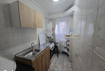 Apartament cu 2 camere, mobilat în George Enescu - 5