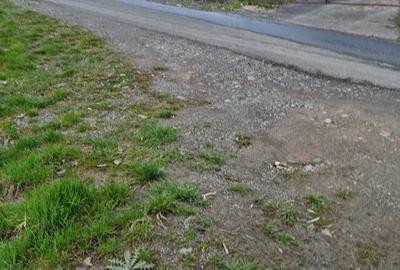 Teren Intravilan | Constructii | 734 mp | Baia Mare | Strada Miron Costin - 3