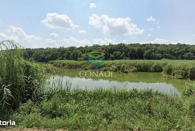 Spațiu comercial, în Vadu Anei - 2