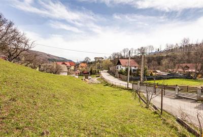 FILM! Pe domeniu de 6.500 mp teren, casa parinteasca, in mag - 15