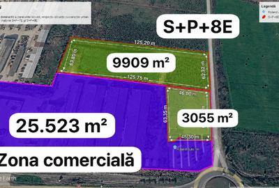 Teren Construcții intravilan de 9909 mp, în Remetea Mare - 3